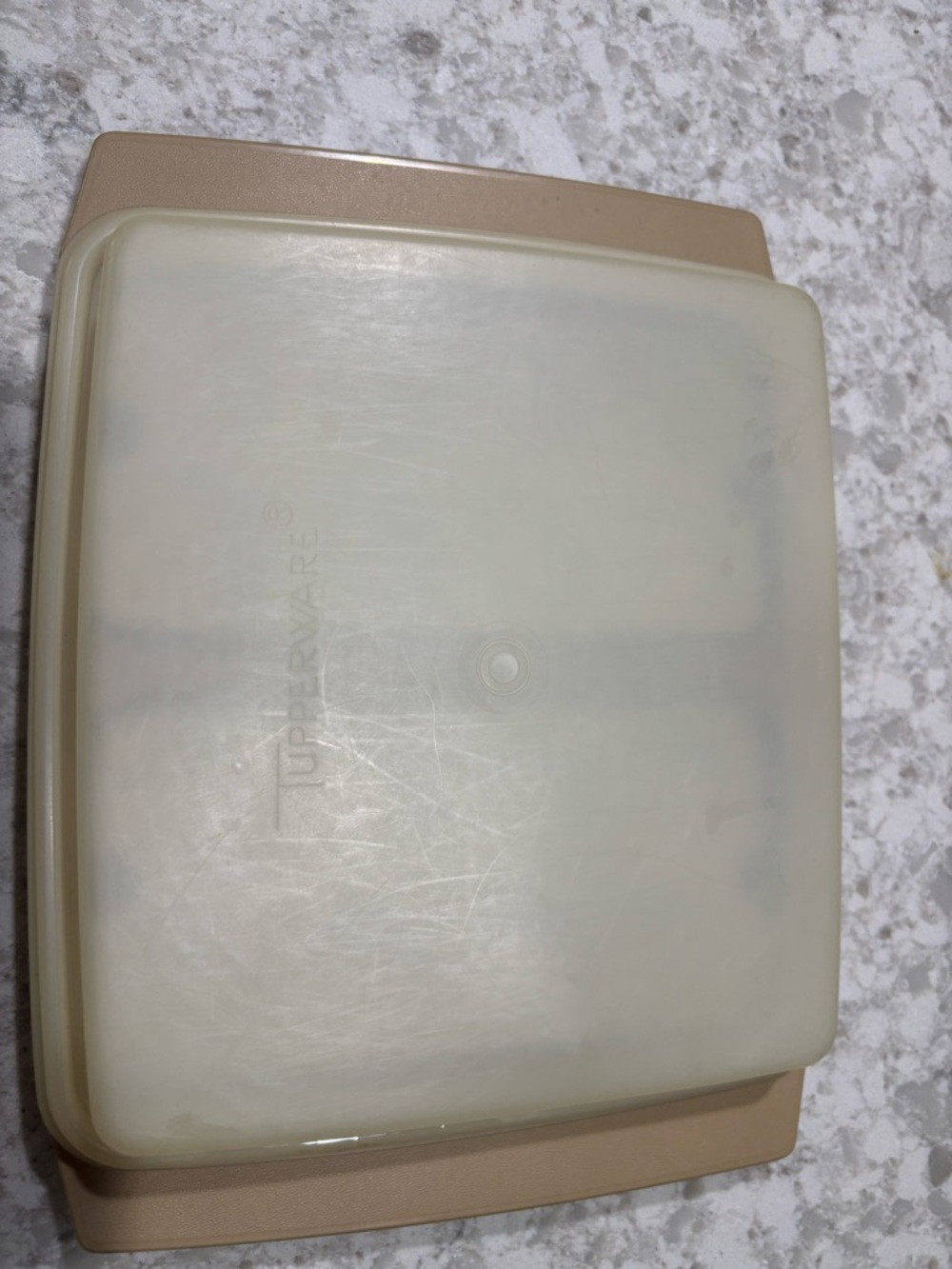 Tupperware deviled egg carrier , good condition. Carries 2dozen eggs
